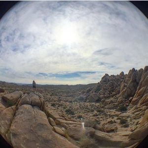 Meet your Posher, Deena